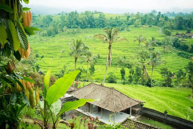 desa terindah di Jawa Tengah