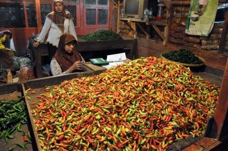penjual cabai, cabai rawit, harga cabai