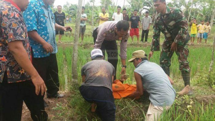 Petani, Sawah, Jasad Petani, Cipari, Desa Mekarsari