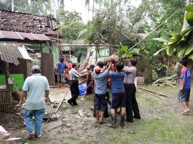 Tumbang, Sidareja, Berita Cilacap, Pohon Tumbang