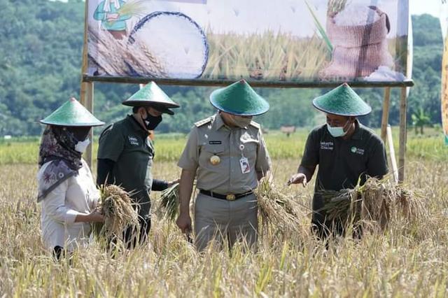 beras cilacap, kunjungan anies baswedan, kunjungan cilacap, serayunews, serayu news, berita terkini, berita hari ini