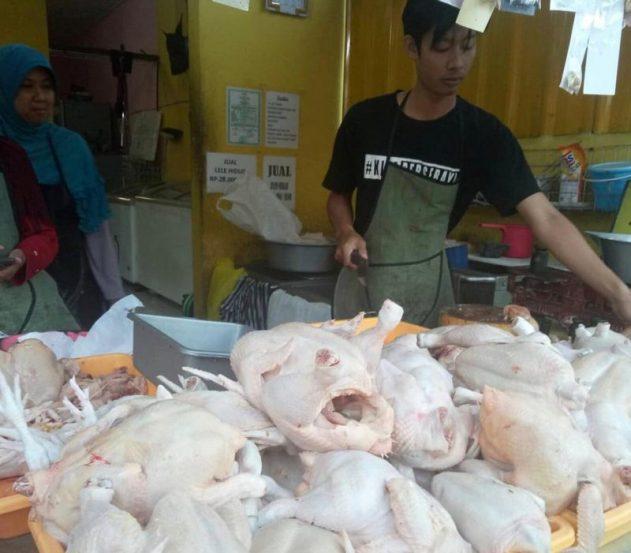 kenaikan harga ayam, harga ayam naik, harga ayam ayam pasca lebara, serayunews, serayu news, berita terkini, berita hari ini