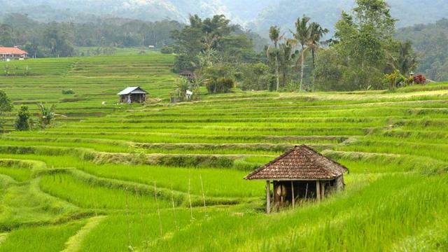 asal-usul nama Desa Kebocoran