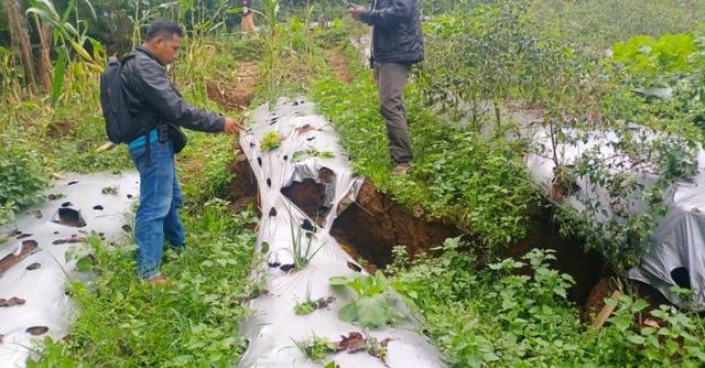 ladang longsor karangkobar, tanah longsor, hujan deras, serayunews, serayu news, berita terkini, berita hari ini