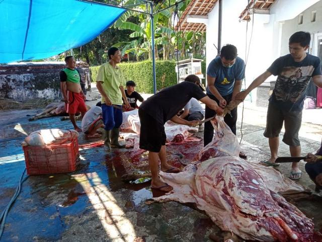 cacing hati hewan kurban , serayu news, serayunews, berita terkini, berita hari ini, banjarnegara