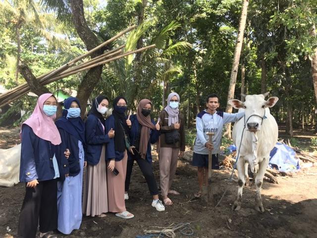 IPB University