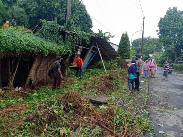 rumah tertimpa pohon, desa kutasari, hujan deras, berita terkini, berita hari ini