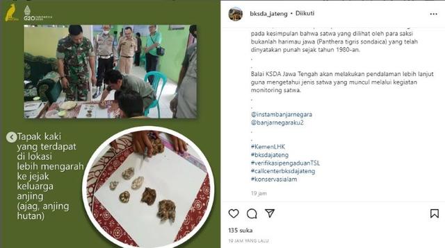 Bksda, harimau punggelan, harimau punggelan Banjarnegara