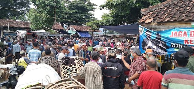pasar hewan ajibarang
