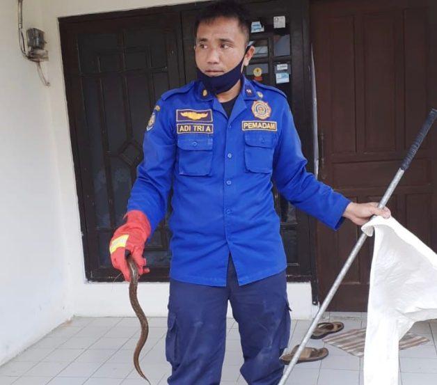 damkar cilacap