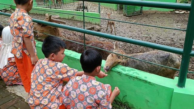 Serulingmas Zoo Banjarnegara