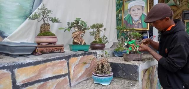 Bonsai Panorama