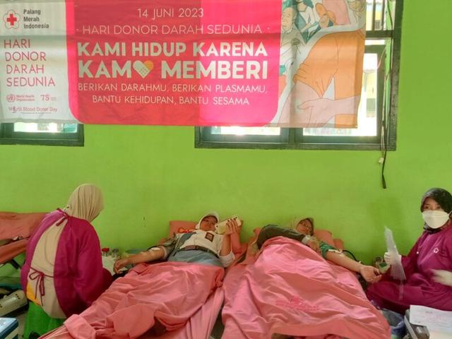 Stok darah
