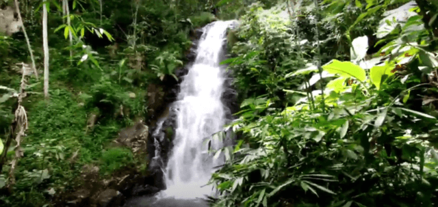 Gambar sebuah air terjun dengan pemandangan alam hijau yang asri.