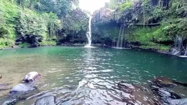 Gambar sebuah air terjun dengan pemandangan alam hijau yang asri.