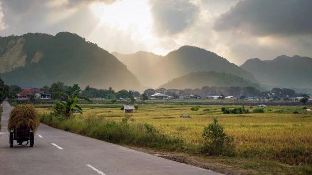 desa unik di Banjarnegara