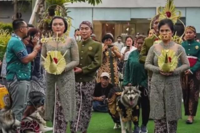 Panitia pernikahan anjing