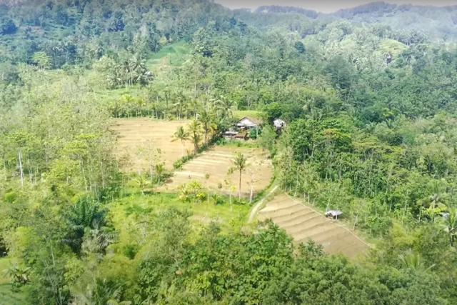 Kampung terpencil di Banjarnegara