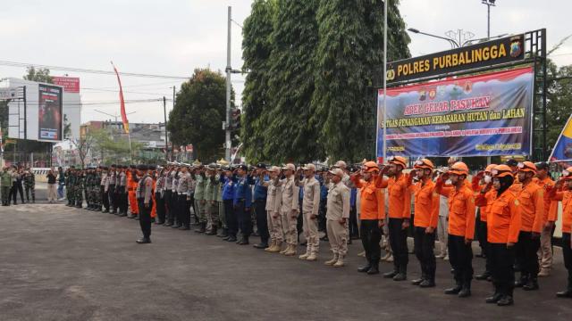 Kebakaran hutan dan lahan