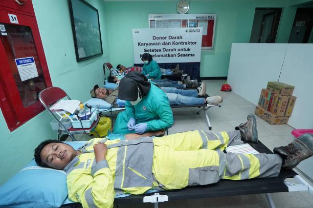 Donor darah