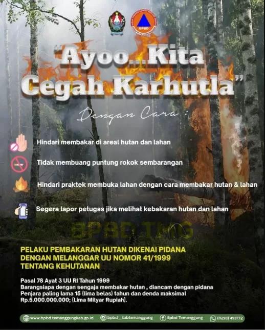 Pembakaran hutan