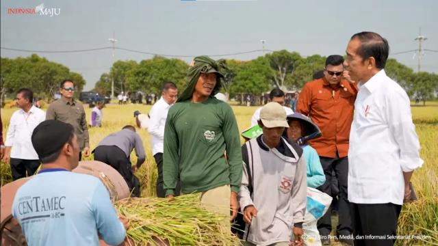 Pastikan produksi panen