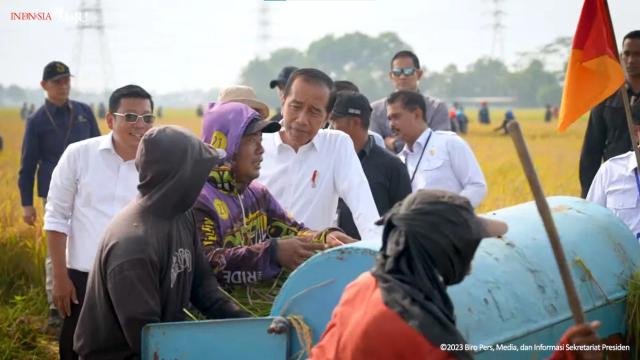 Produksi beras berkurang