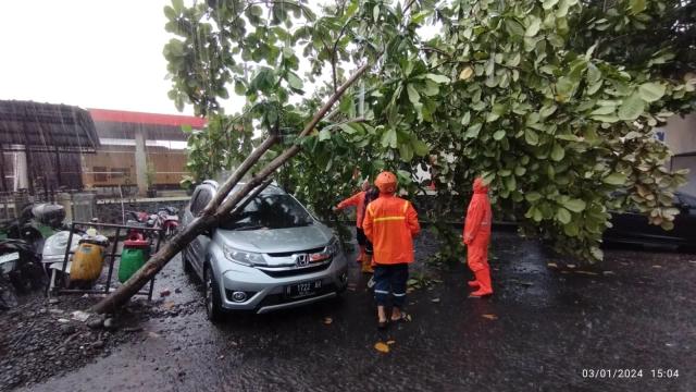 Pohon timpa mobil