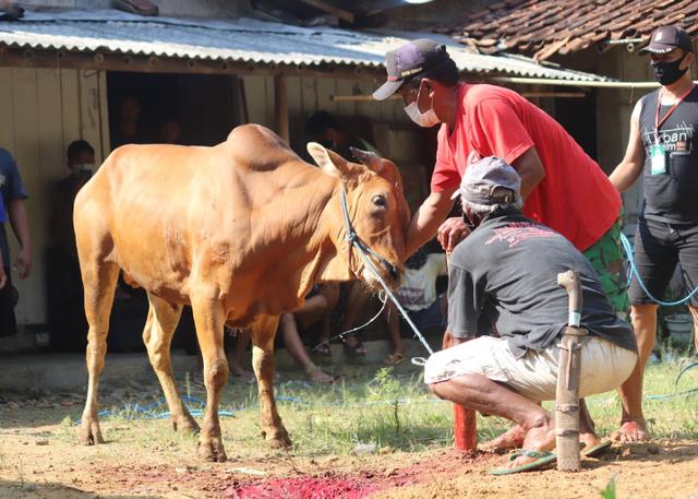 Tips Menabung untuk Kurban Idul Adha