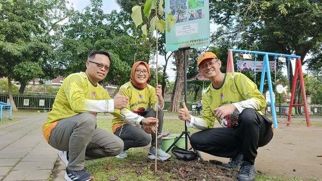 Solusi bangun Indonesia