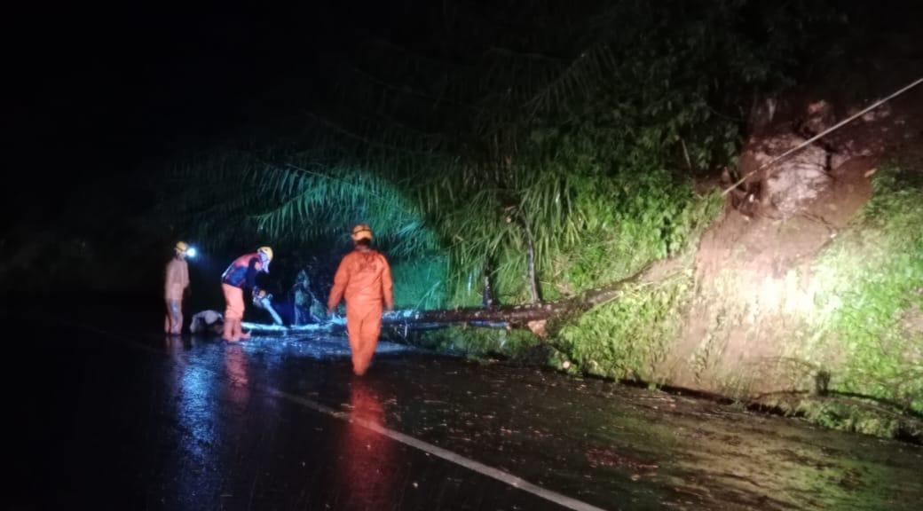 cuaca ekstrem di Wonosobo