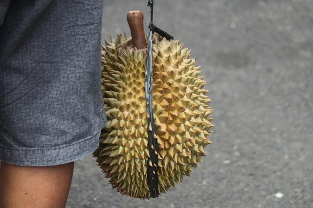 durian tewel