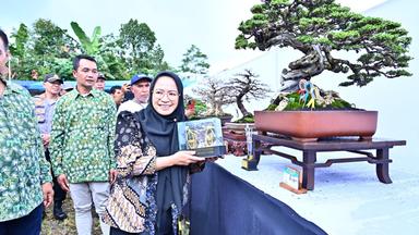 Bupati Banjarnegara saat mengunjungi pameran bonsai yang dilaksanakan di parking area Stadion Soemitro Kolopaking Banjarnegara. (dok.kominfo)