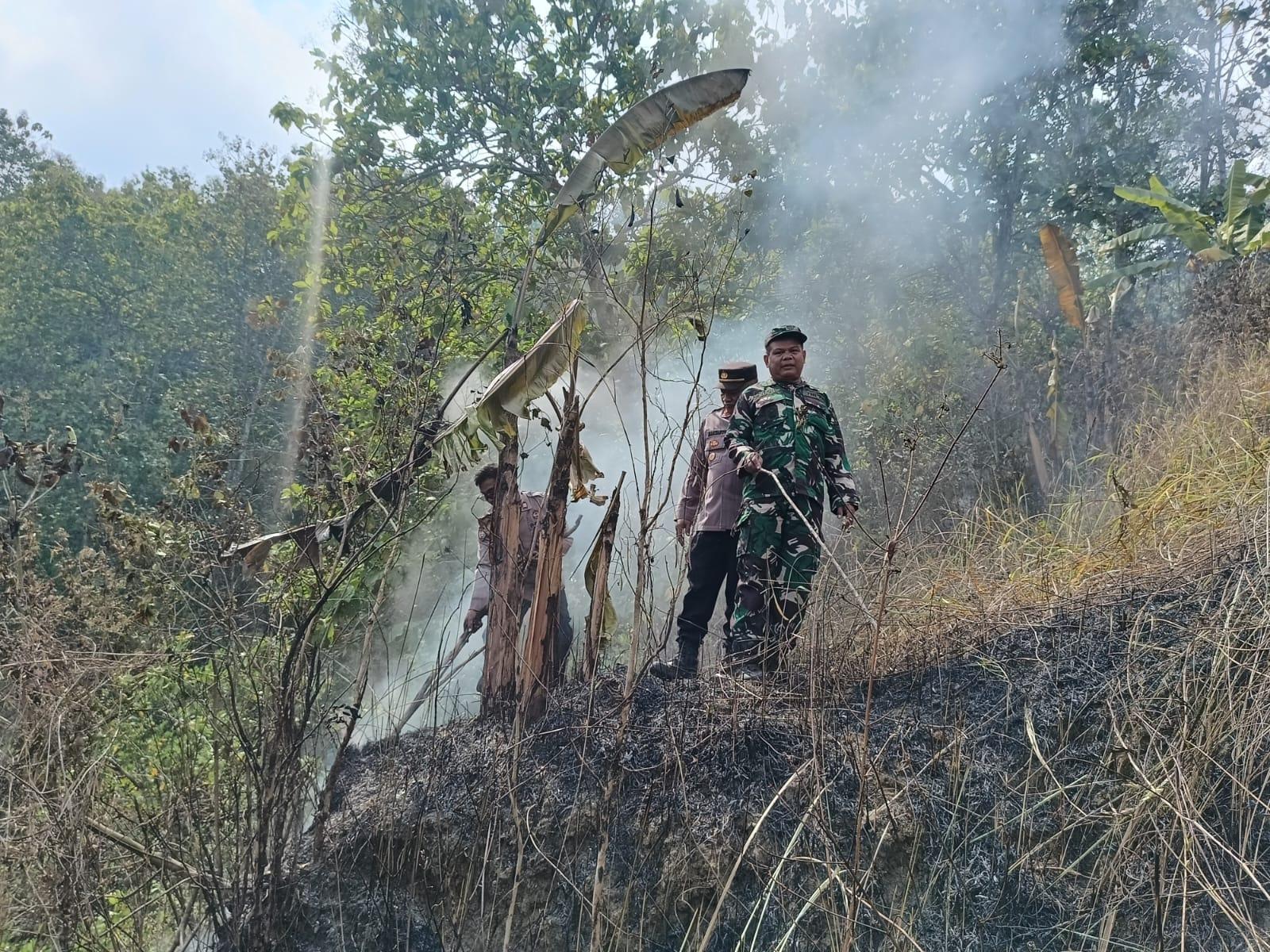 lahan perhutani terbakar