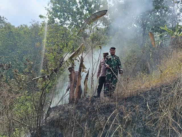 lahan perhutani terbakar