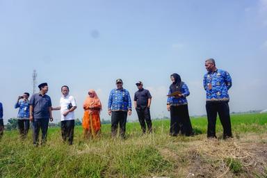 sekolah nasional terintegrasi