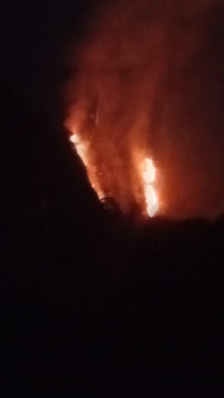 hutan lowo ijo terbakar