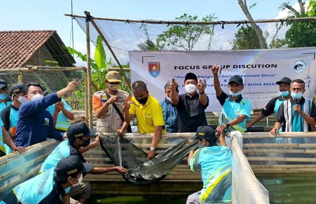 seribu kolam ikan lele, Dusun Cisagu, Desa Penyarang, Kecamatan Sidareja, cilacap, berita terkini, berita hari ini