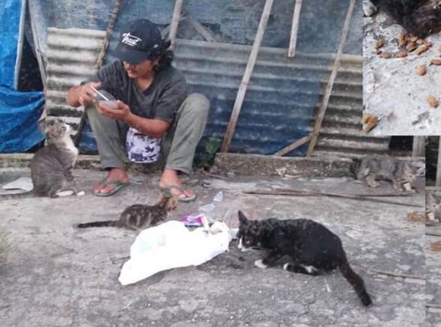 Stray Cat’s Cilacap, komunitas pecinta kucing, berita terkini, berita hari ini, cilacap
