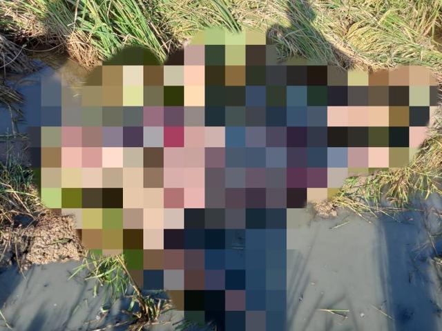 Wanita Paruhbaya, Ditemukan Tak Bernyawa di Areal Persawahan Sampang Cilacap