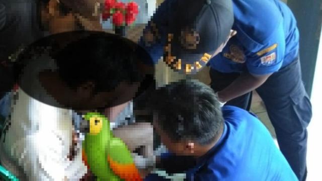 Petugas Damkar Majenang Cilacap saat evakuasi Cincin yang nyangkut di kelamin pria