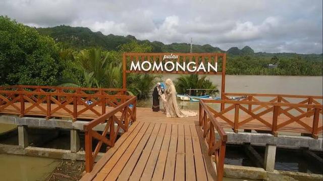 Pulau momongan