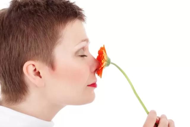 Gambar seseorang sedang menghirup aroma dari bunga