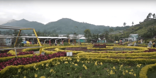 Gambar sebuah tempat wisata Purbalingga 2023 yang penuh dengan bunga-bunga.